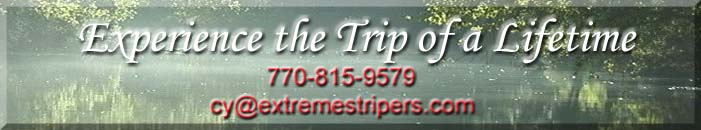For The Trip Of A Lifetime